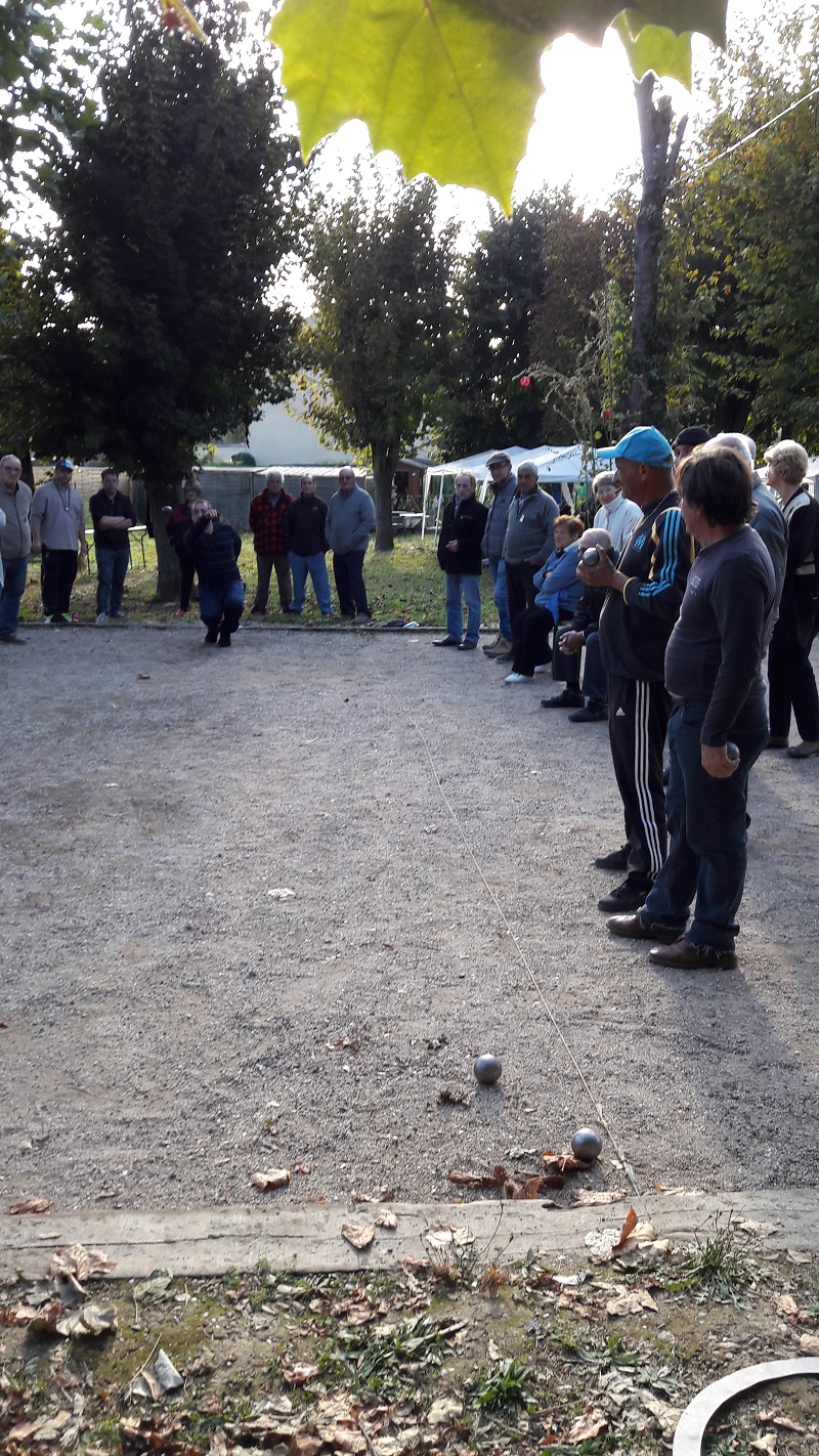 Photo du club de pétanque la boule loisirs de messein  - 174
